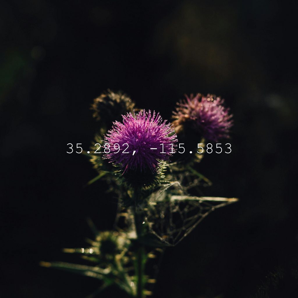 Product Story Image