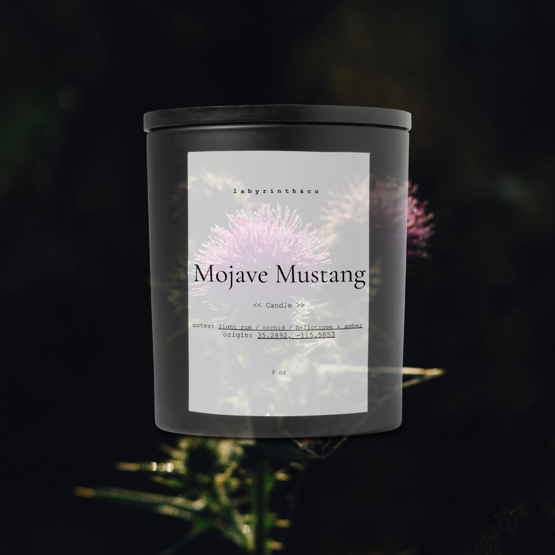 Mojave Mustang