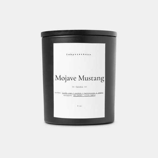Mojave Mustang