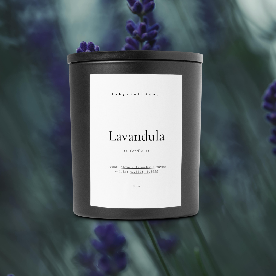 Lavandula