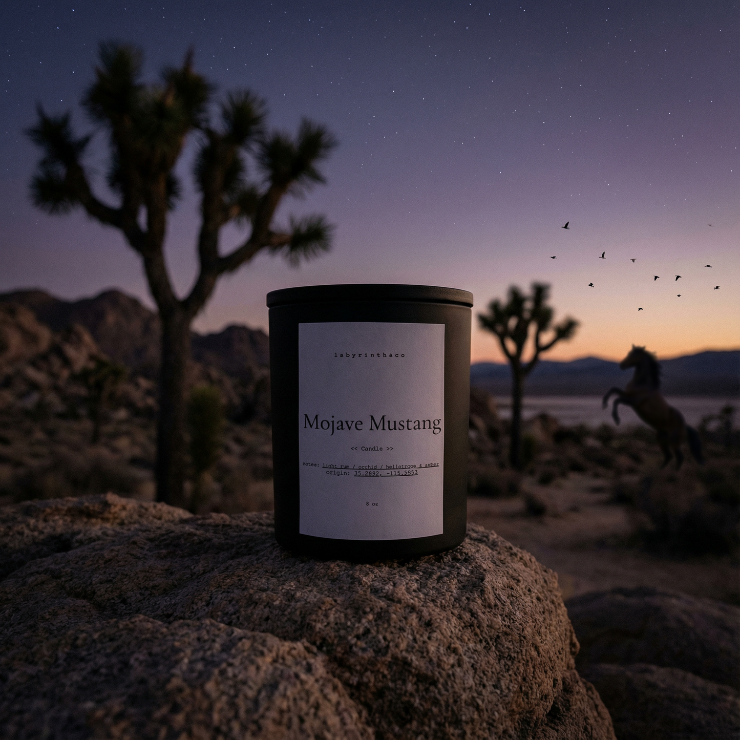 Mojave Mustang
