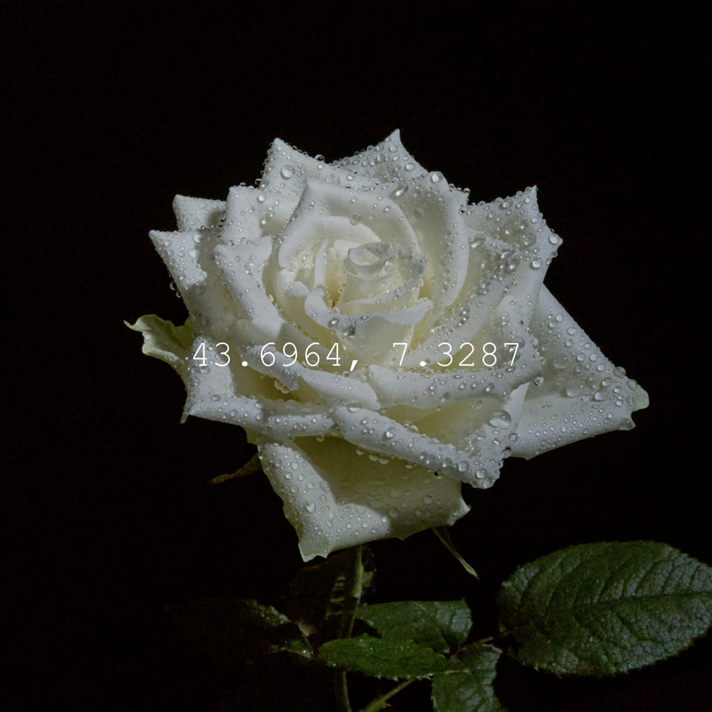 Product Story Image